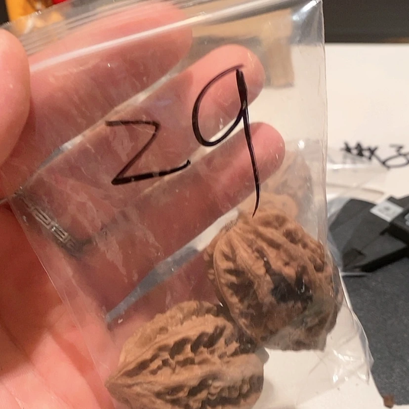 【闪购商品】文玩核桃吊坠