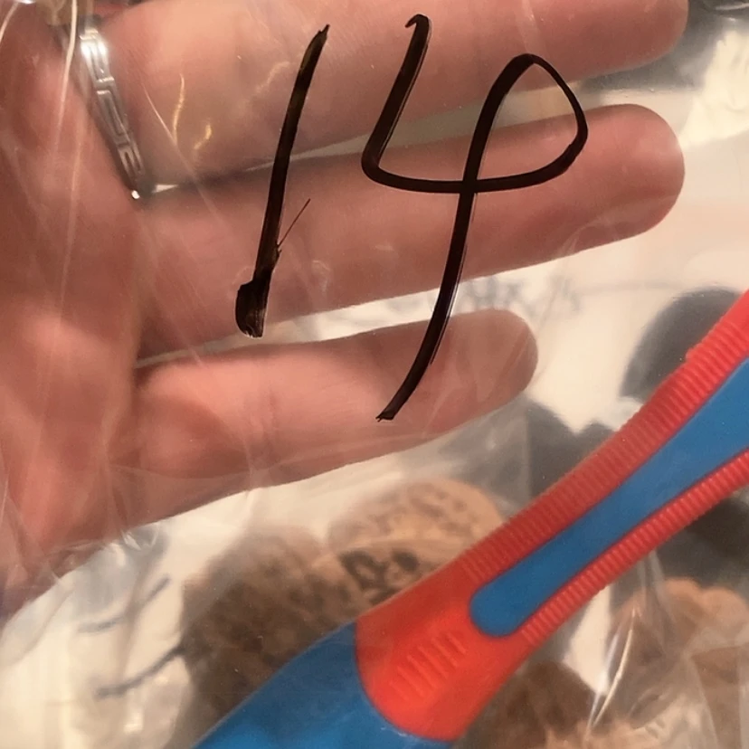 【闪购商品】文玩核桃吊坠九**?