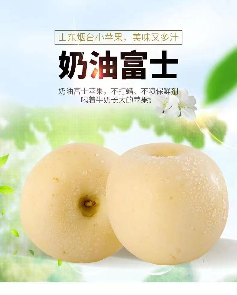 【新粉福利】3斤试吃新鲜正宗烟台奶油苹果黄金奶油富士丑苹果脆甜
