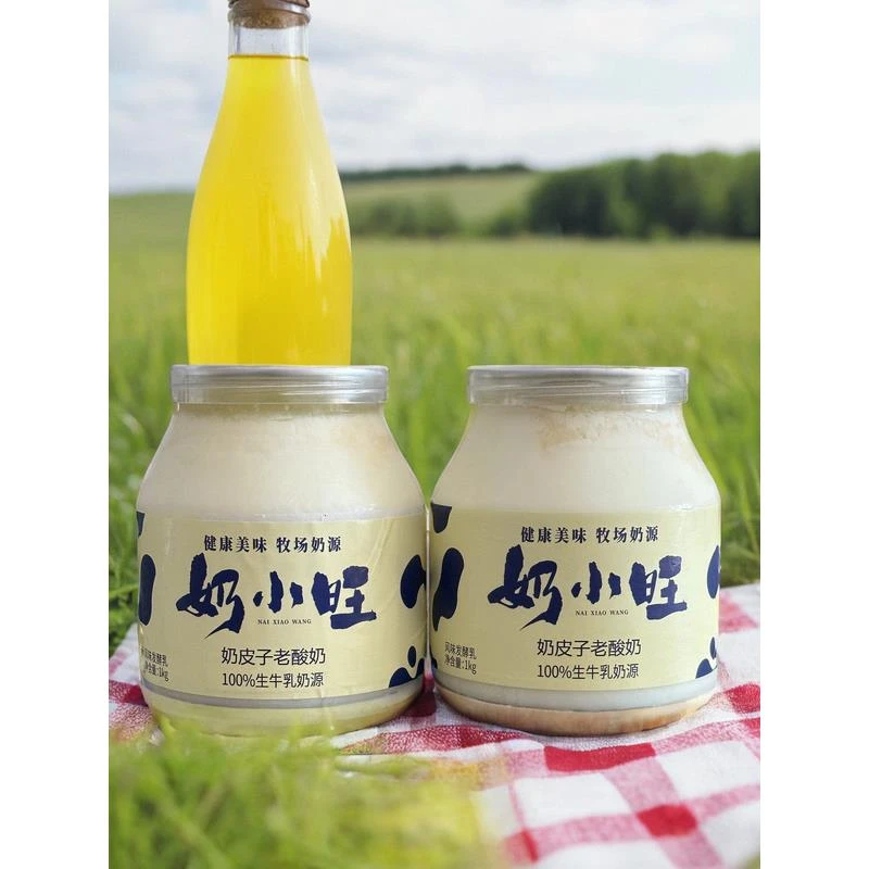 奶小旺奶皮子酸奶内蒙特产经典老式酸奶早餐奶奶皮酸奶乌日么原味