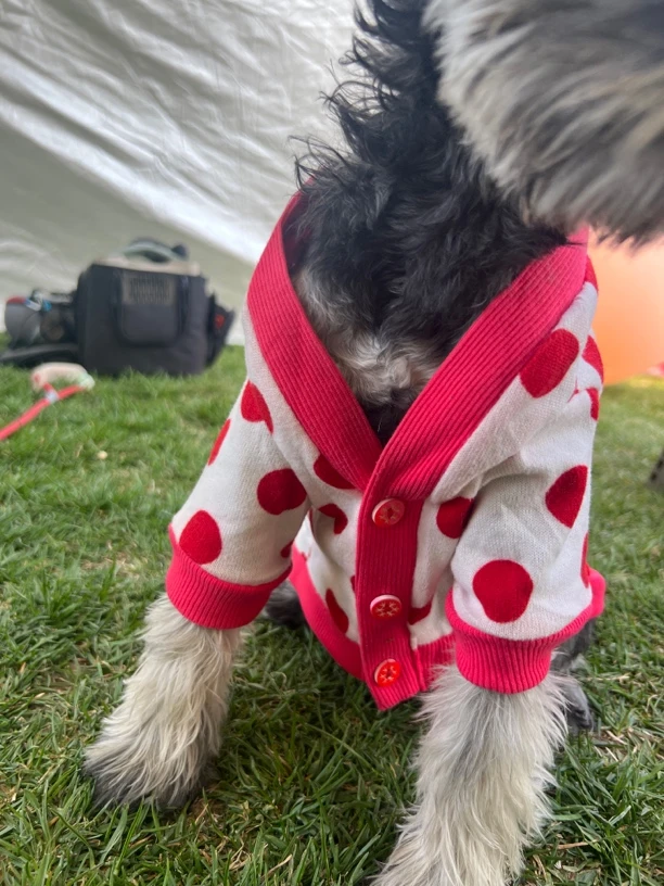 狗狗红色波点针织开衫