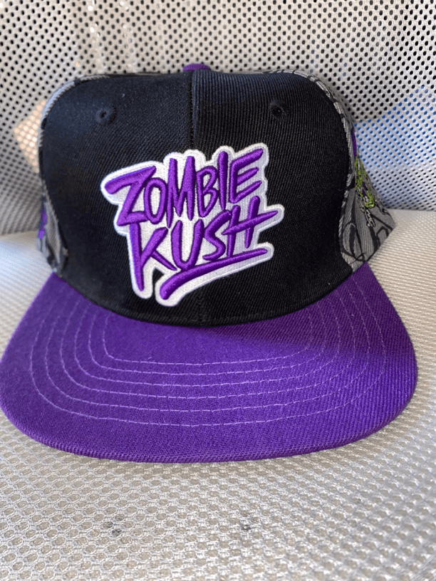 僵尸丹顿紫色棒球帽59.9