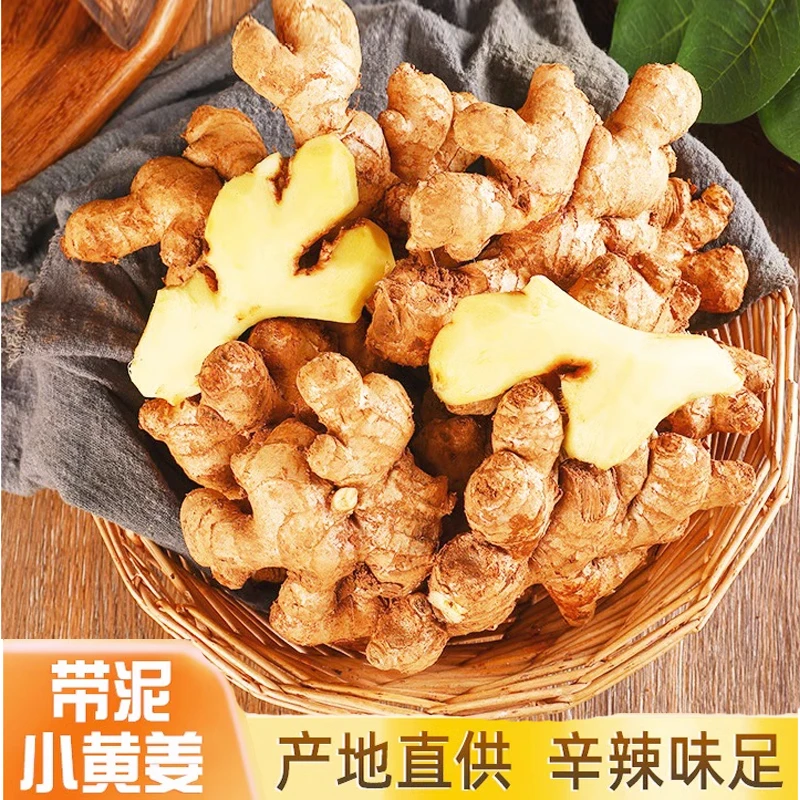 辛辣味足带泥 精选二年小黄姜老姜生姜产地新鲜蔬菜1.5斤2.5斤4斤