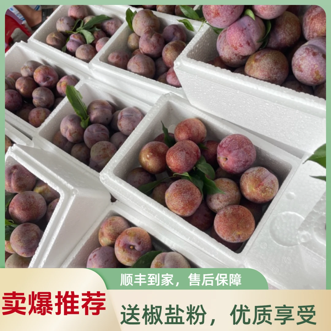 （高品质大果）钱排银妃李三华李新鲜三华李钱排三华李（送椒盐粉）