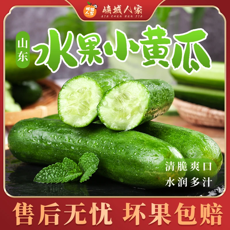 【峡城人家】山东水果黄瓜 4.5斤装新鲜脆嫩清甜爽口