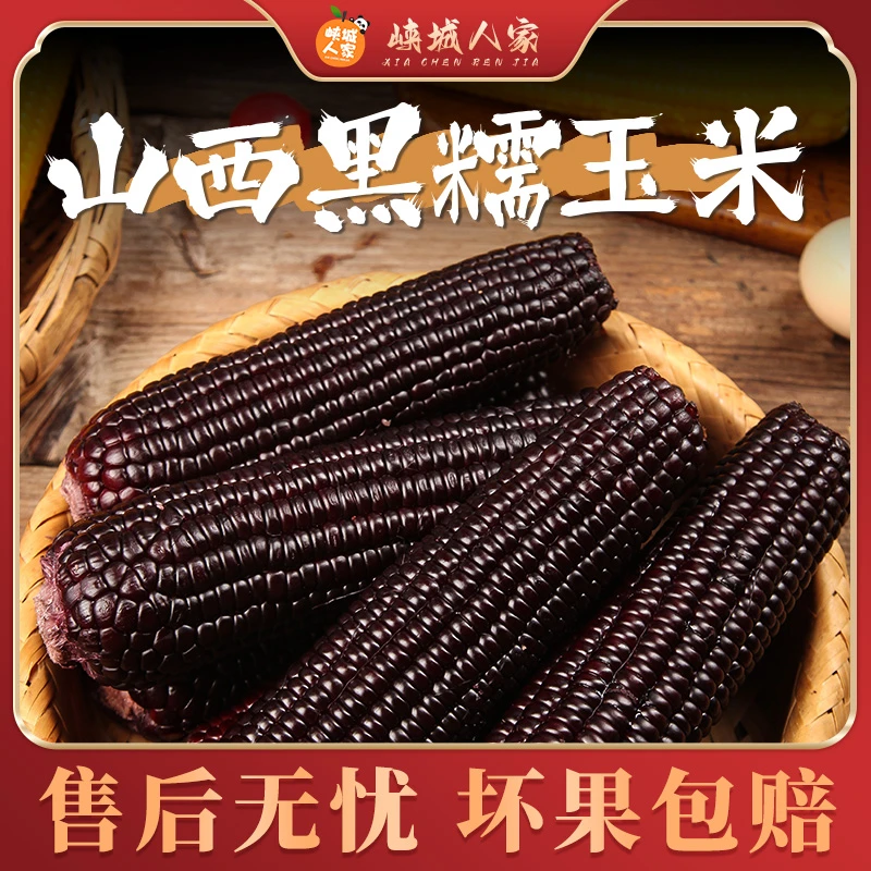 【峡城人家】山西黑糯玉米8根装(单根250g+) 颗粒饱满真空包装l