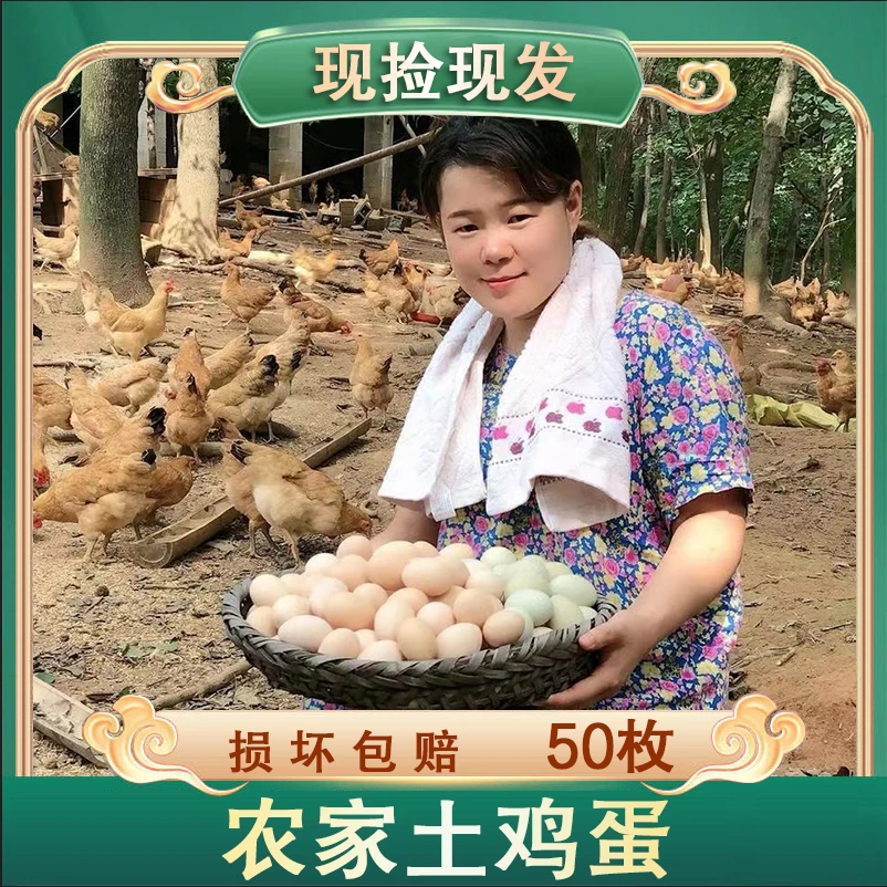 【珍珍8】买40枚粉壳赠10枚粉壳土鸡蛋 共50枚/2000g