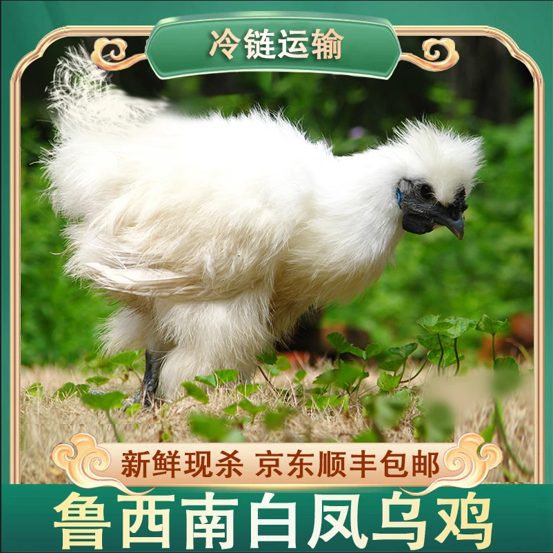 【燕子家】白凤乌鸡 肉质鲜嫩 净膛发货 两只净重3.8-4斤