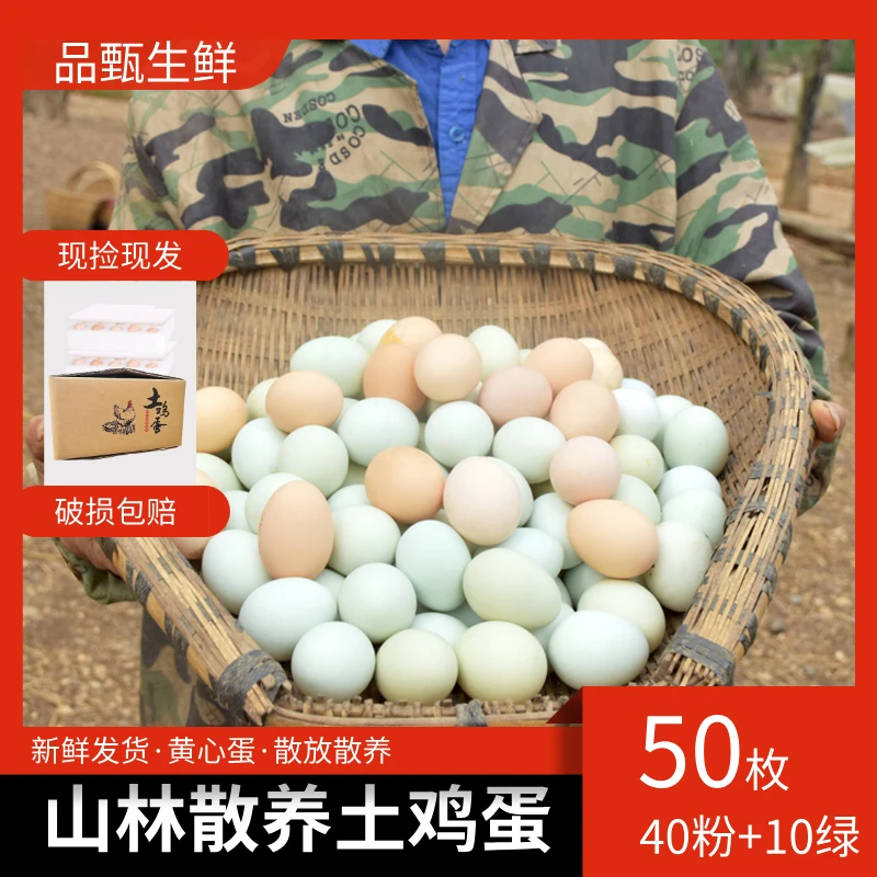 【破损包赔】云梦农家散养土鸡蛋40枚粉壳加赠10枚绿壳共到手50枚