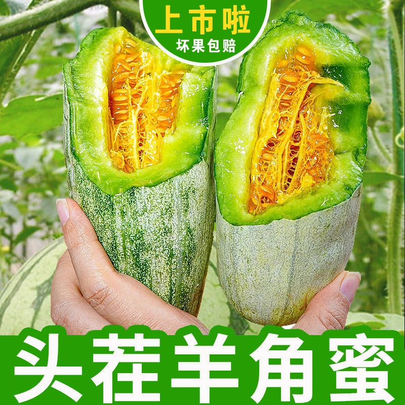 【坏果包赔】新鲜当季水果脆甜爆汁甜瓜山东羊角蜜甜瓜3-当季水果