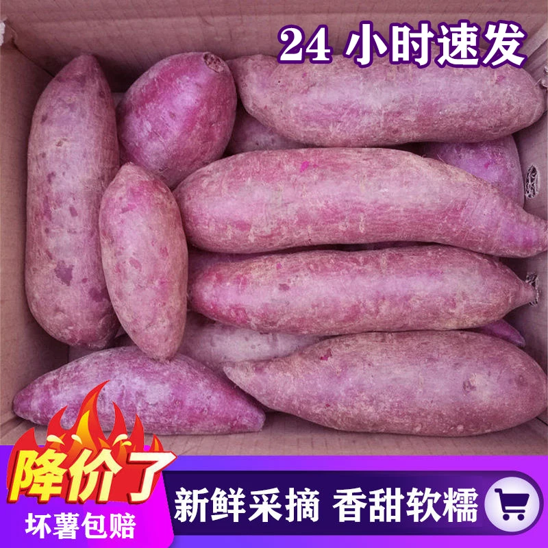 【香甜粉糯】沙地紫薯新鲜紫心蜜薯红薯地瓜番薯蔬菜3斤/5斤/9斤