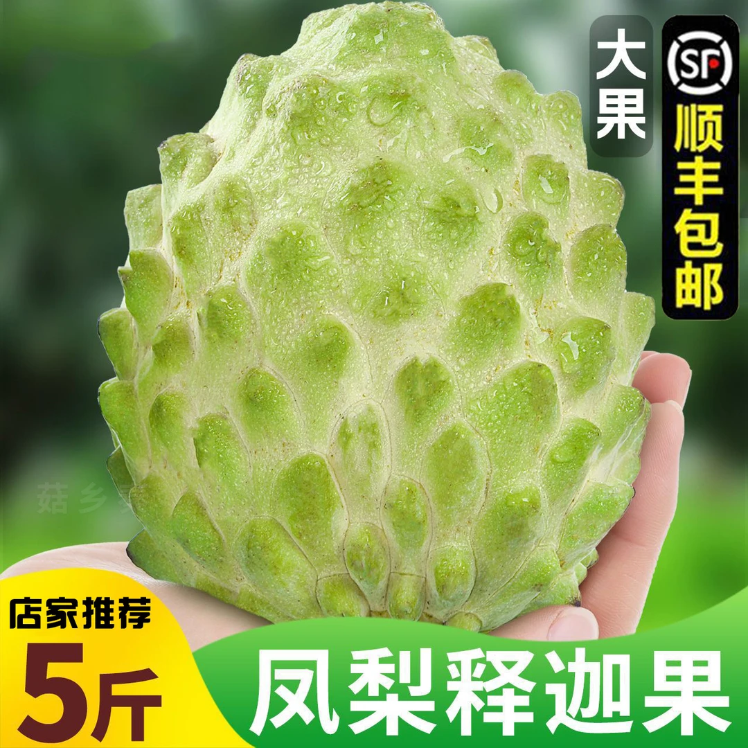 【坏果包赔】现货凤梨释迦果新鲜番荔枝佛头果热带水果500g-2500g