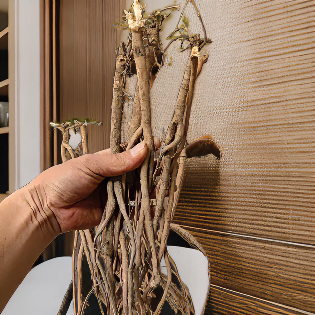 粤北特产千斤拔干货~整枝整条发货250克起拍~可煲汤炖汤