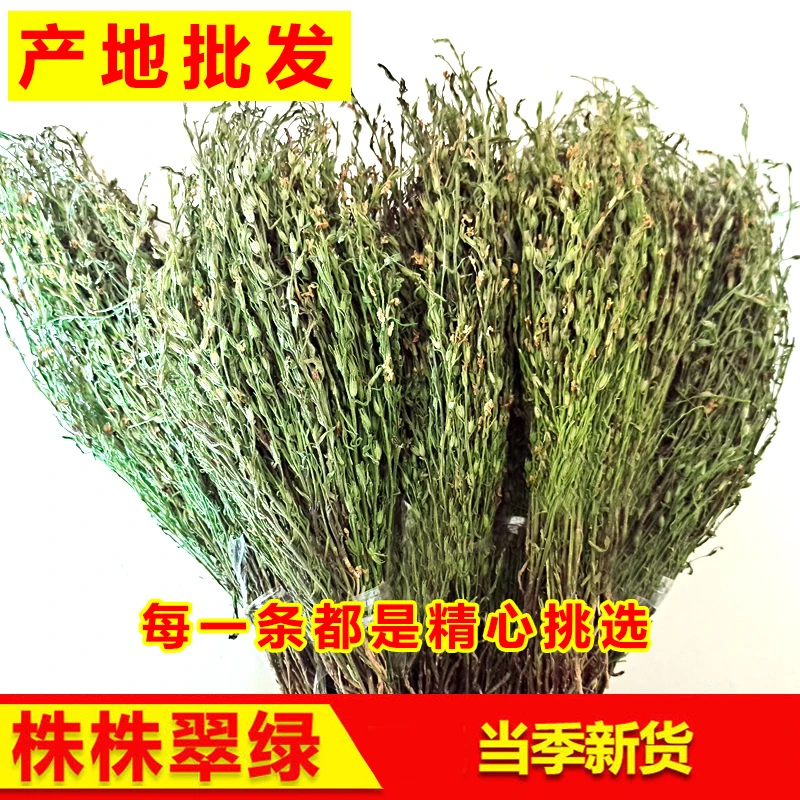 独脚金疳积草广西直发当季新鲜天然货晒干煲汤食用老人小孩开胃汤