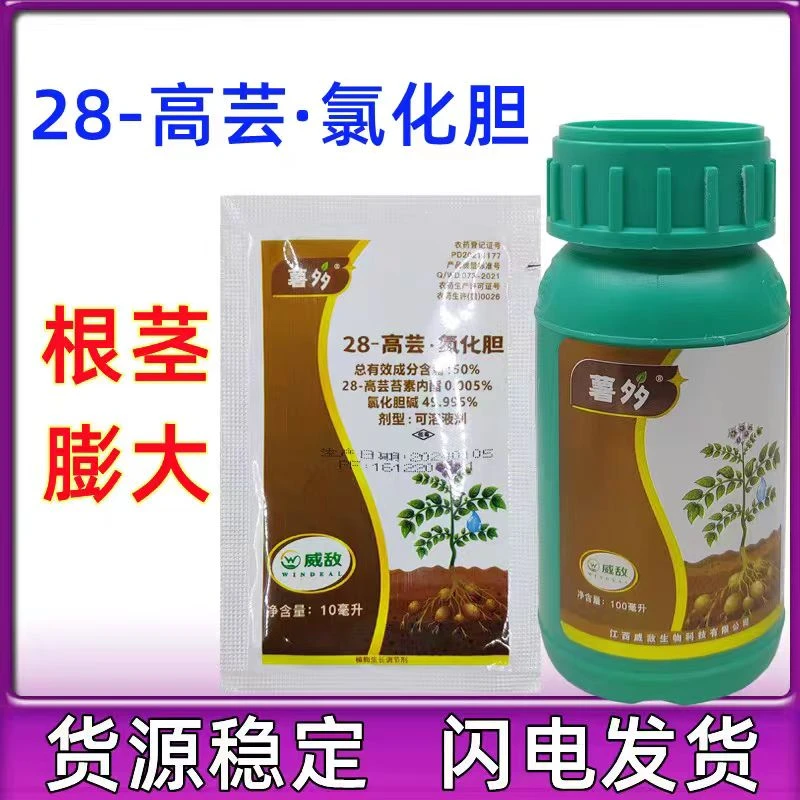 氯化胆碱60%大蒜洋葱红薯花生土豆药材姜地下根茎膨大剂农药