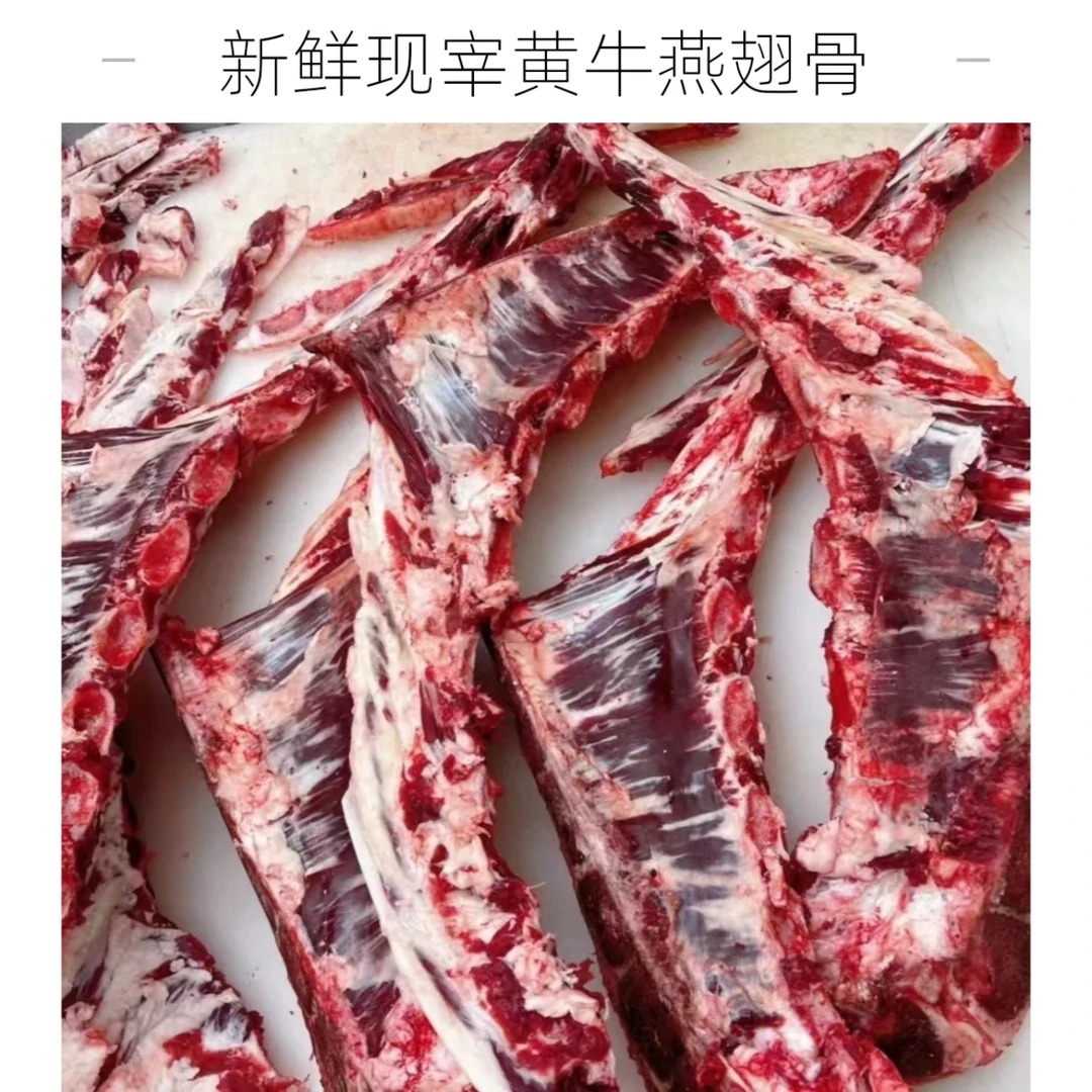 【牛燕翅送2斤】6+2斤新鲜现宰的鲁西小黄牛 燕翅骨 煲汤 红烧