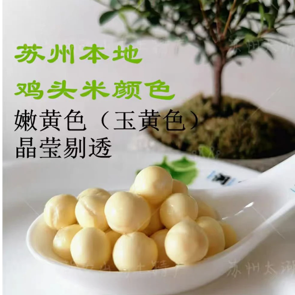2024苏州新鲜鸡头米精品大颗粒新鲜苏芡苏州特产芡实上市