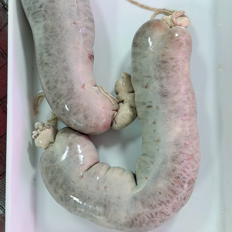 东北本地笨灌肥肠血肠一单2斤