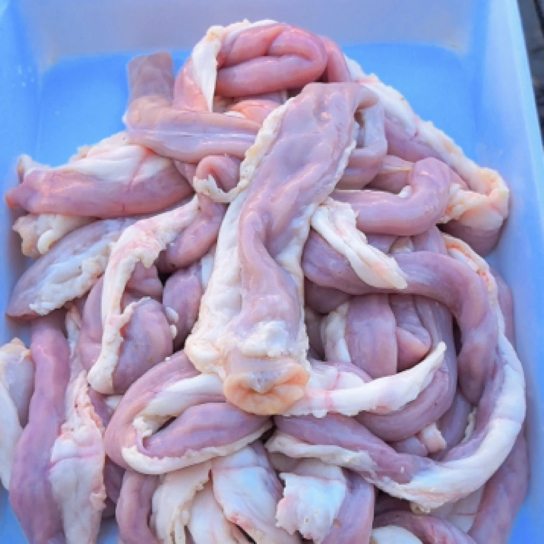 东北本地猪苦肠.一单五斤