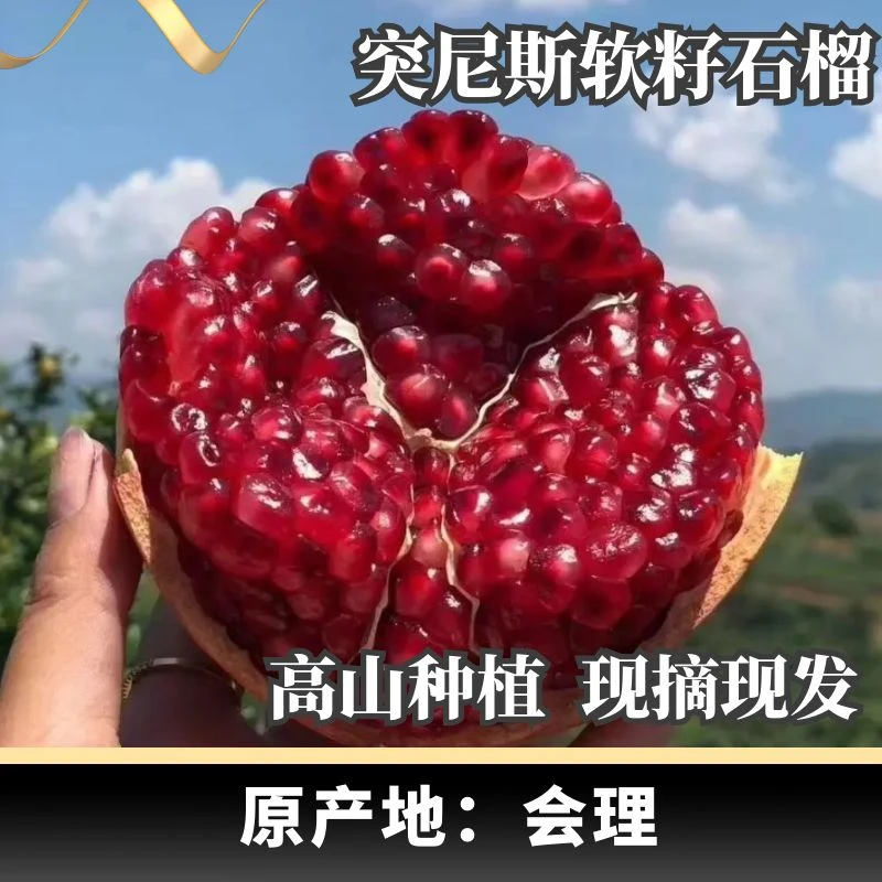 突尼斯软籽石榴5斤新鲜水果当季红宝石四川会理无籽石榴整箱包邮