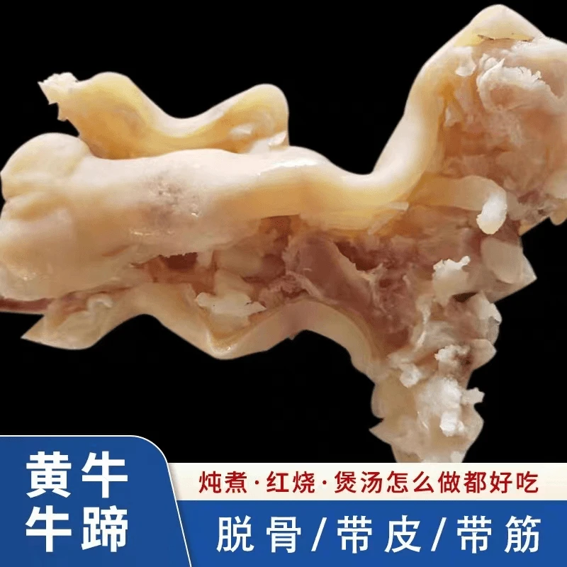 去大骨熟牛蹄筋黄牛蹄子不抽筋带蒜瓣骨火烧毛9分熟