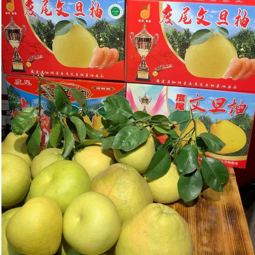 礼品装正宗福建度尾文旦柚红心柚子无孔果新鲜当季水果孕妇精品