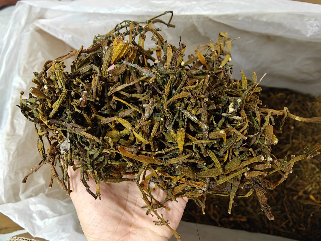 2024古树螃蟹脚香甜可以炖猪脚和茶一起泡