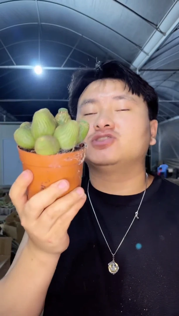 【闪购商品】黑蝎子