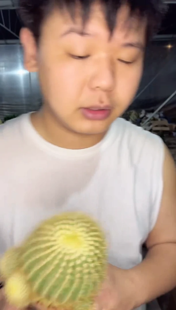 【闪购商品】粉花 黄彩玉