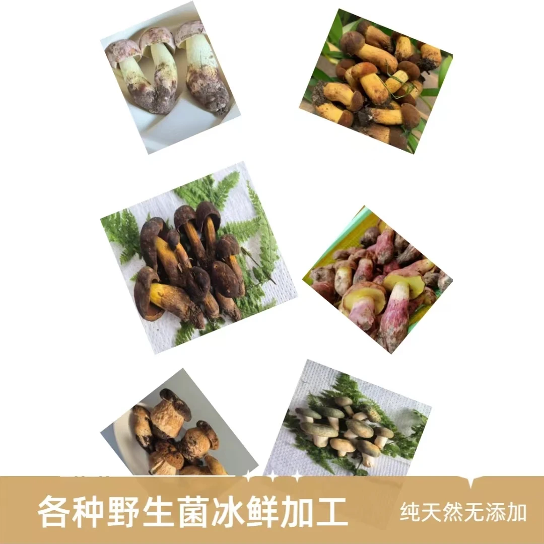 【真空鲜切】鲜切云南野生菌(包含顺丰空运打包费)