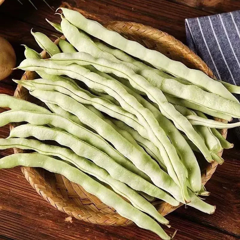 北京本地97-5豆角