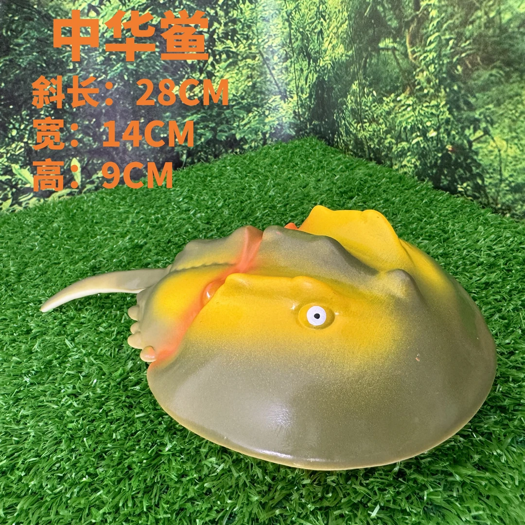 新品中华鲎海洋系列软胶搪胶恐龙叫声动物玩偶仿真逼真玩具模型