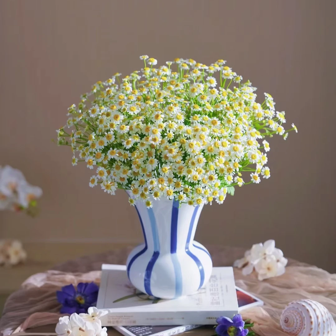 【繁花集甄选】洋甘菊 2单升级顺丰冷链或德邦快递