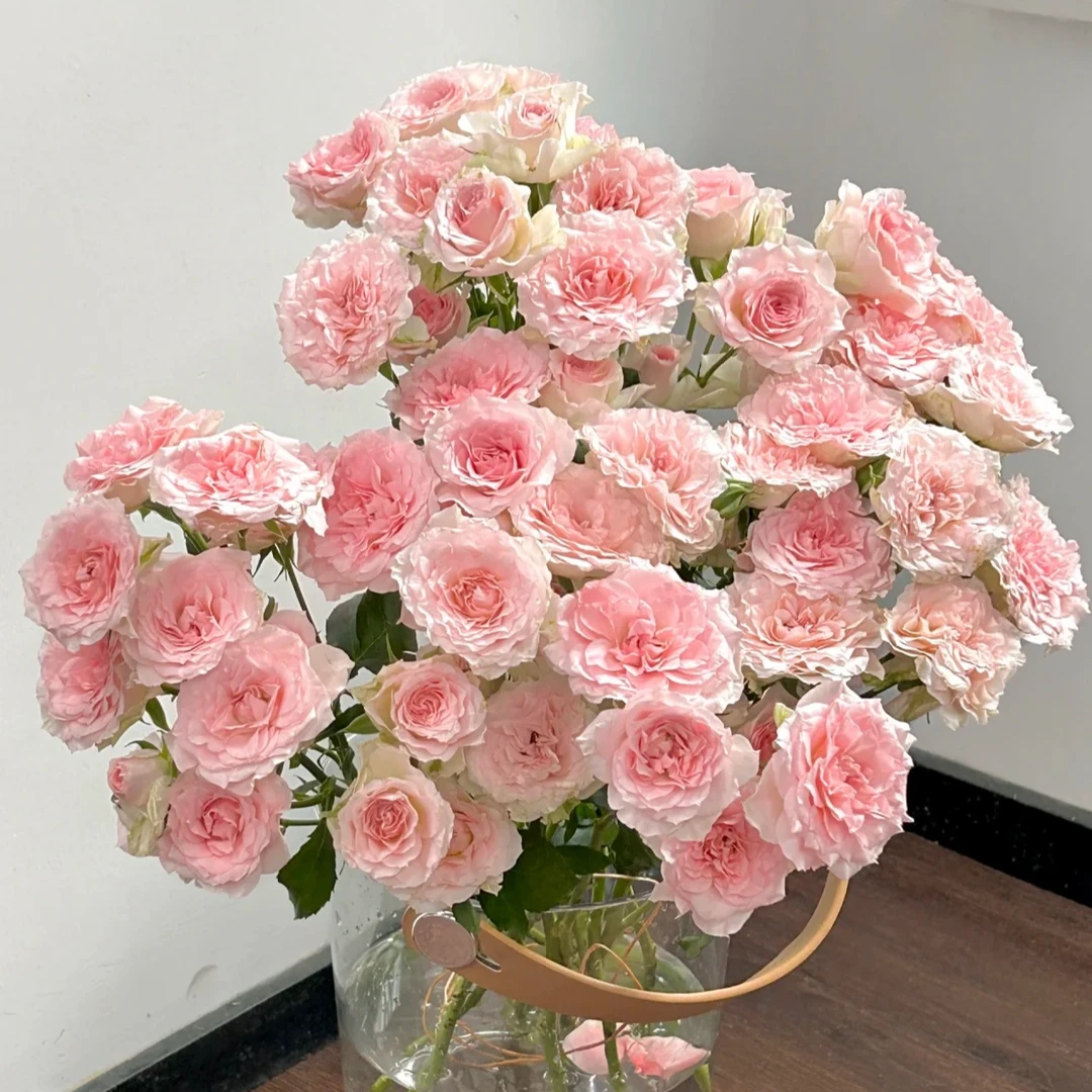 【情迷罗拉】-多头玫瑰 任意两单升级顺丰冷链或德邦空运