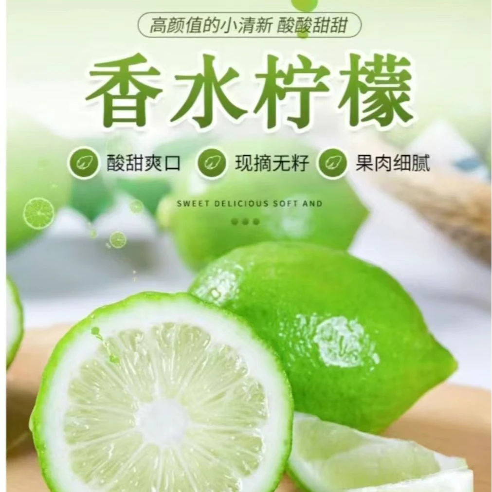 广东香水柠檬树苗香水柠檬树盆栽