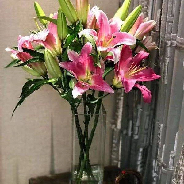 【次日达】9个花苞粉百合 （2-3支）不含瓶/花店送货上门