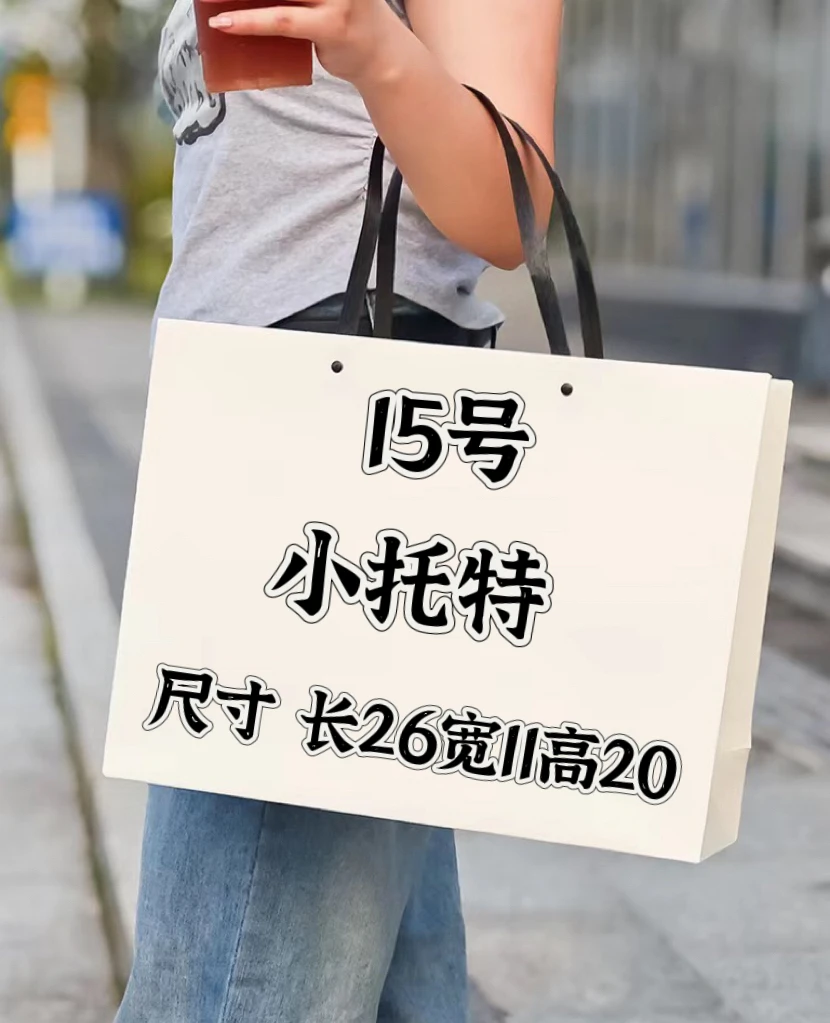 【A15号】2024新新新新款小托特包 （尺寸长26宽11高20）气质百搭