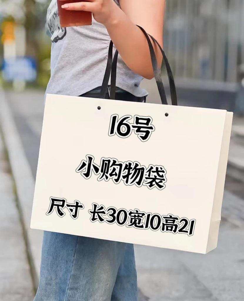 【B16号】2024新新新新款小购物袋(尺寸 长30宽10高21)气质休闲