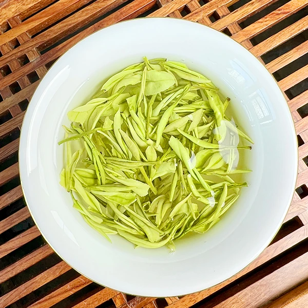 2024年新茶明前原产地 AG588（金香玉）品质之选高山绿茶 250g/500g