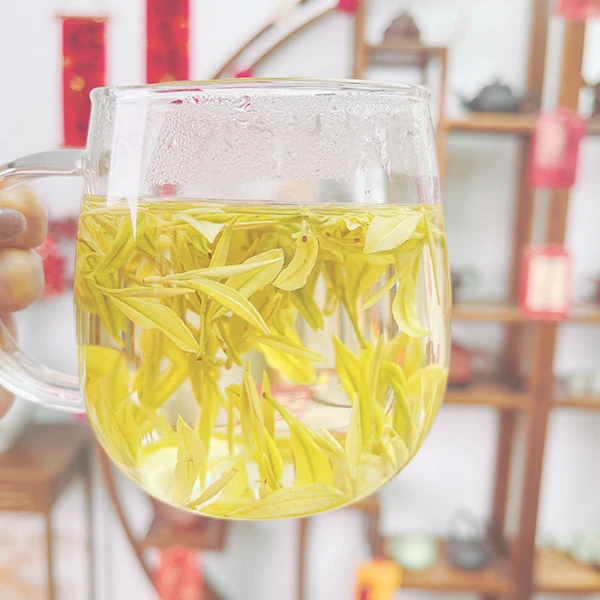 2025年新茶明前大熊猫 AN659 奶香黄金芽头春奶香馥郁250g/500g