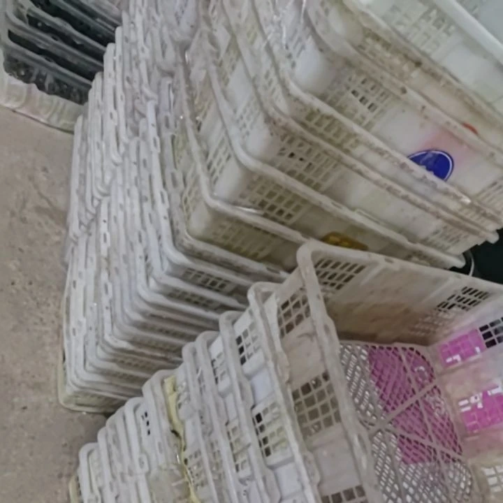 【改价专用】散养鹊山。冷链发货。1至54笼。