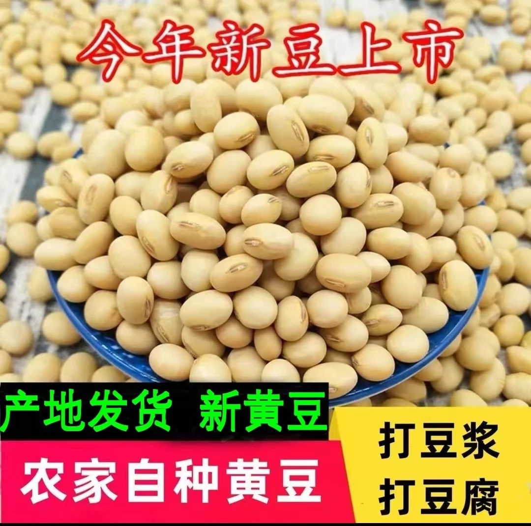 农家自种非转基因干黄豆小豆打豆浆黄小豆做豆腐打豆浆专用