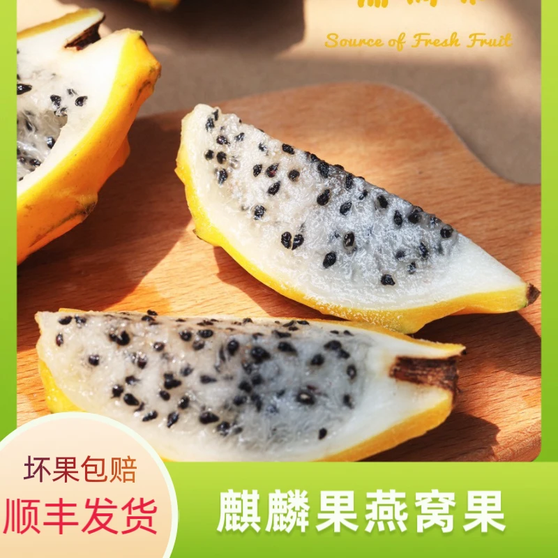 现当季燕窝果麒麟果新鲜白心火龙果水果1-4斤发顺丰