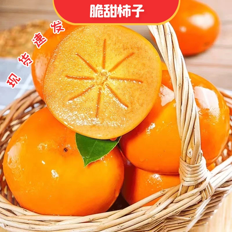 正宗山西阳丰巧克力脆柿子产地直发新鲜水果脆甜可口