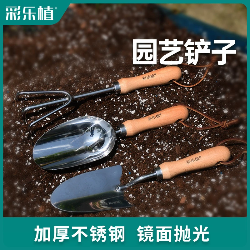彩乐植铲子挖土种花园艺工具铲土勺子种菜加厚移栽