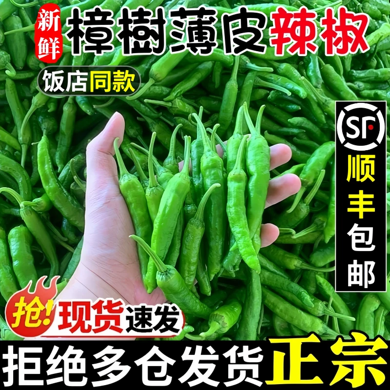 樟树新鲜农自种辣椒10斤湖南正宗精品港现摘岳阳湘阴特产蔬菜顺丰