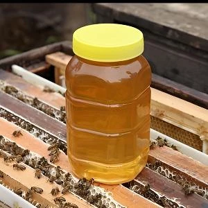 忠防镇渔潭社区野生蜂蜜