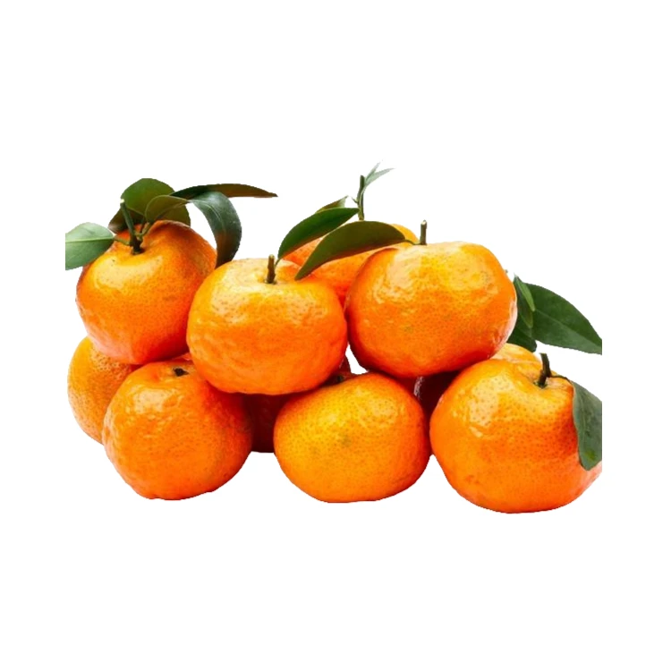【纯广西砂糖橘一整箱毛重8斤】沙糖桔