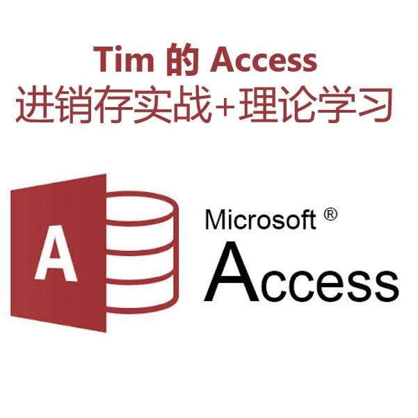 Access 进销存 实战+理论教学 小软件开发