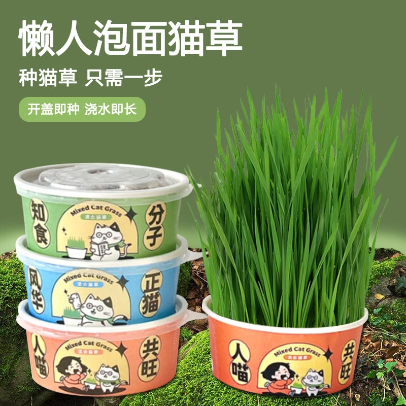 合和懒人泡面猫草创新滤水设计猫咪零食化毛排毛球懒人猫草mini
